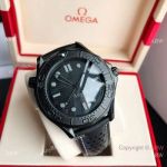 Omega Seamaster Diver 300m Black Black Ceramic Watch